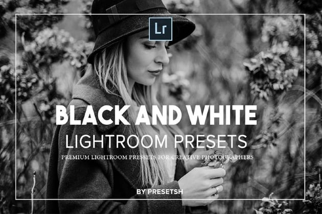 Lightroom Black and White Presets Bundle
